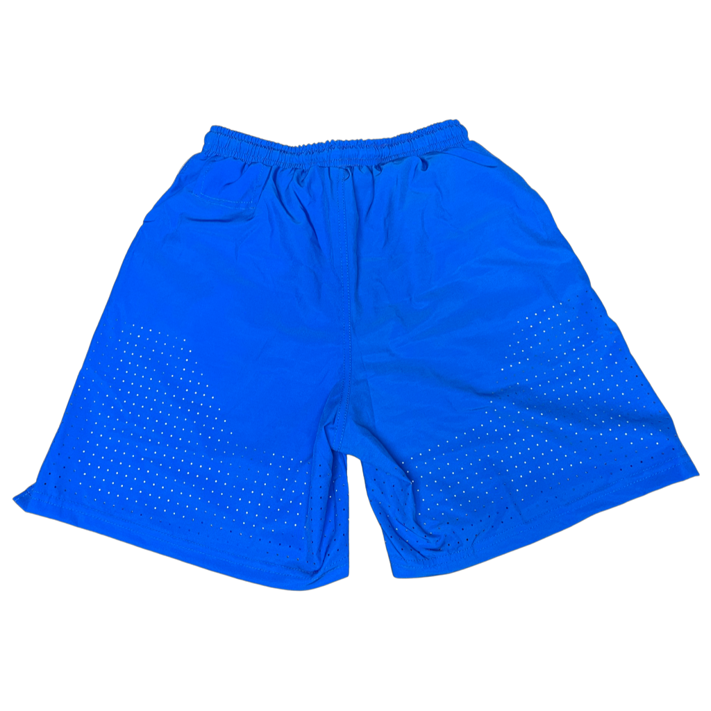 "Flex" Cross Training Shorts (Electric Blue)